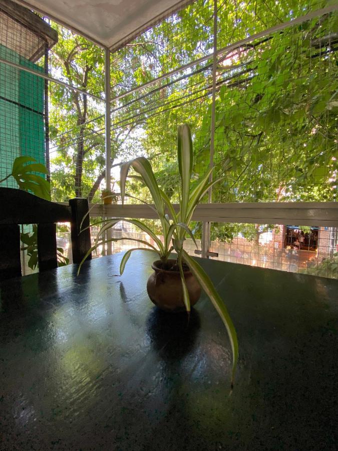 Palermo Soho Hostel Buenos Aires Extérieur photo
